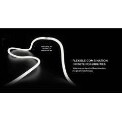 Flexible neon COLORS 24V-IP65 14.4W 950Lm 3000K 5m (NNR25P-WW)