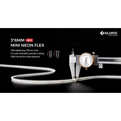 Flexible neon COLORS 24V-IP54 7.2W 235Lm 3000K 5m (NMS0306-WW)
