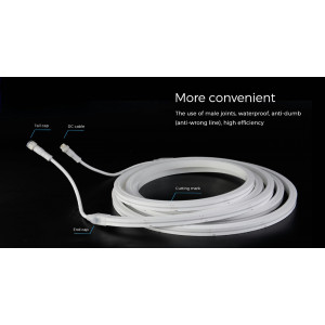 Elastyczna taśma neonowa COLORS 24V IP67 14,4W RGB-3000K 5m (NMT1312-PRO-RGBWW)