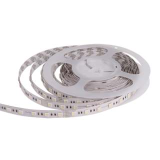 Taśma LED RISHANG 60-5050-24V-IP20 12,9/4,7W RGB+4000K 5m (RD0260AC-A)