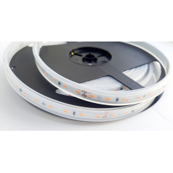 Taśma termoodporna COLORS 80-3030-24V-IP65 4,8W 690Lm 2700K 5m (DS980-24V-10mm-IP65-SW)