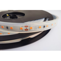 Heat resistant LED strip COLORS 80-3030-24V-IP65 4.8W 690Lm 2700K 5m (DS980-24V-10mm-IP65-SW)