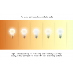 Taśma LED COLORS 168-2835-24V-IP33 9,61W 1900K + 3000K 5m (DS8168GWWW-24V-10mm)