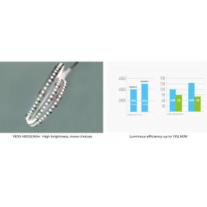 LED strip COLORS 192-2835-24V-IP20 29W 3552Lm 3000K 5m (DS8192-24V-12mm-WW)