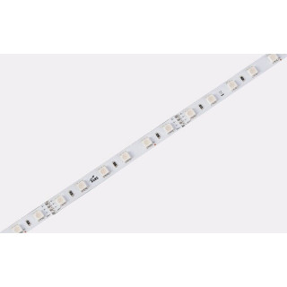 Taśma LED COLORS 60-5050-24V-IP67 12,5W RGB 5m (D560RGB-24V-12mm-IP67)