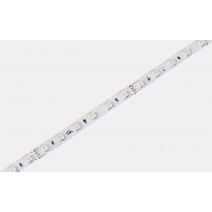 Taśma LED COLORS 60-5050-24V-IP67 12,5W RGB 5m (D560RGB-24V-12mm-IP67)