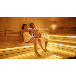 Heat resistant LED strip COLORS 80-3030-24V-IP65 5W 745Lm 4000K 5m (DS980-24V-10mm-IP65-NW)