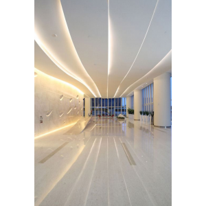 Світлодіодна стрічка COLORS 256-2835-24V-IP20 34W 4800Lm 4000K 2.5м (DS8256-24V-12mm-NW)