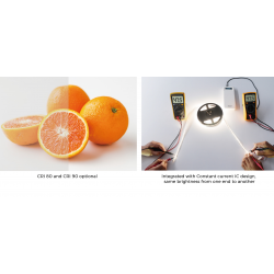 LED strip COLORS 256-2835-24V-IP20 39W 4800Lm 4000K 5m (DS8256-24V-12mm-NW)