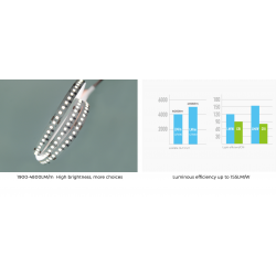 Світлодіодна стрічка COLORS 256-2835-24V-IP20 34W 4800Lm 4000K 2.5м (DS8256-24V-12mm-NW)