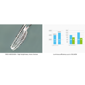 LED strip COLORS 256-2835-24V-IP20 39W 4800Lm 4000K 5m (DS8256-24V-12mm-NW)