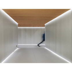 LED strip COLORS 120-2835-24V-IP20 9.6W 1000Lm 6000K 5m (DJ120-24V-8mm-W)