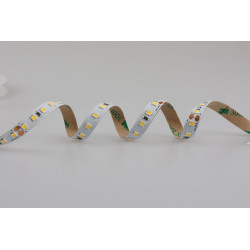 Світлодіодна стрічка RISHANG 128-2835-24V-IP20 9,6W 1515Lm 3000K 5м (RV08C8TC-A-WW)